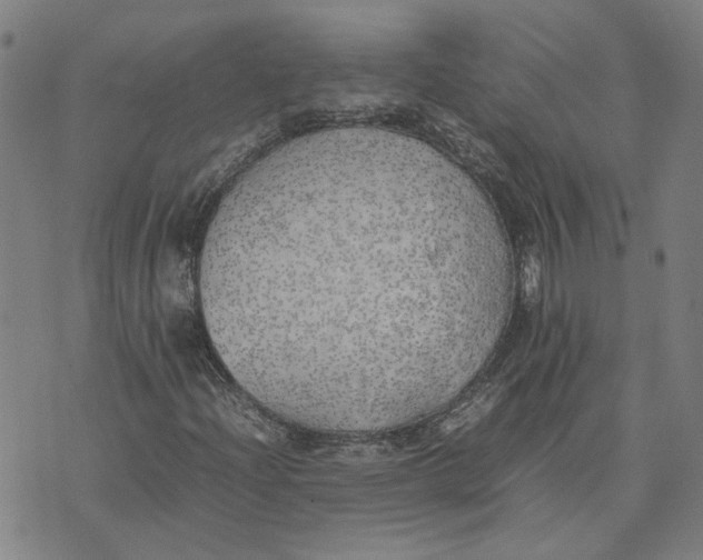 X0000074231204200609151637