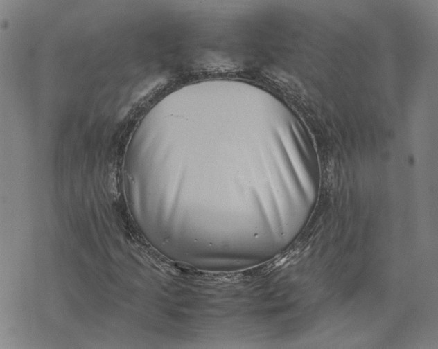 X0000074231205200609151638