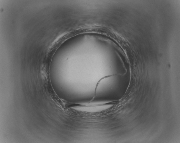 X0000074231206200609151638