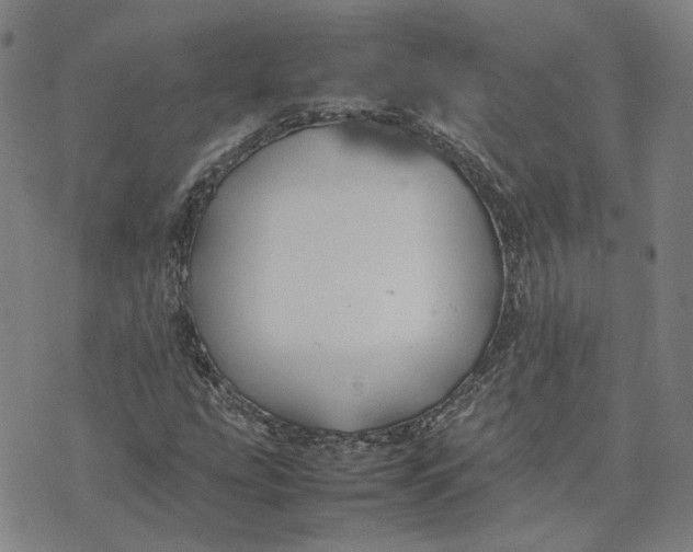 X0000074231207200609151638