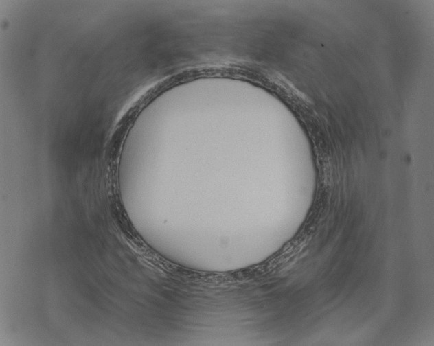 X0000074231208200609151638