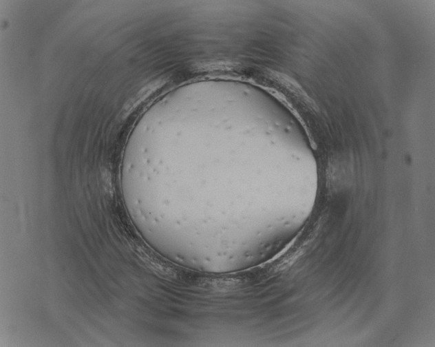 X0000074231209200609151638