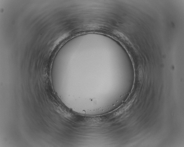 X0000074231210200609151638