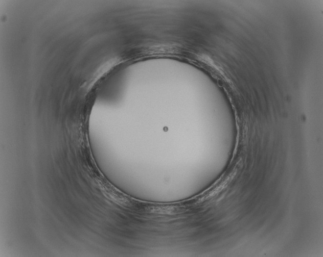 X0000074231211200609151638