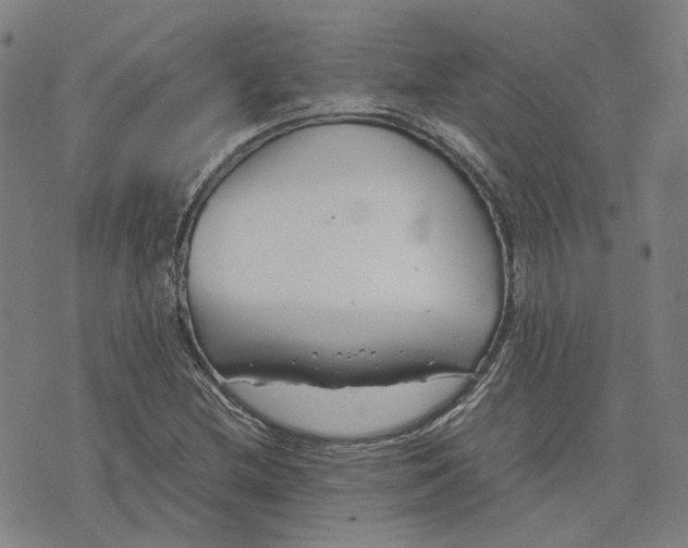 X0000074231212200609151638