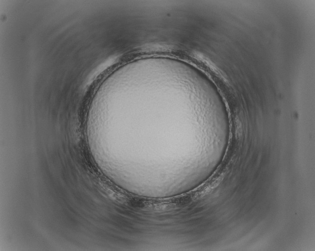 X0000074231213200609151638