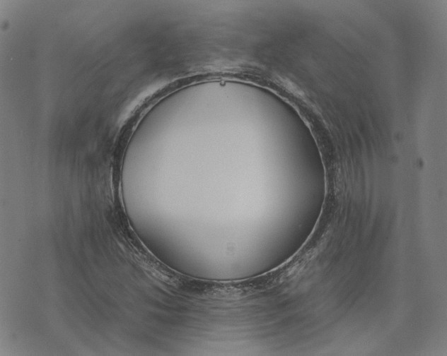 X0000074231214200609151638