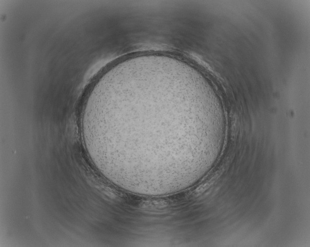 X0000074231215200609151638