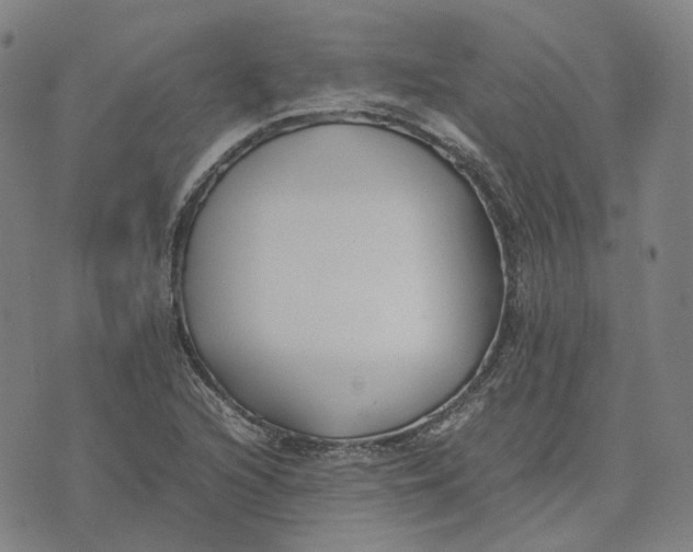 X0000074231216200609151638