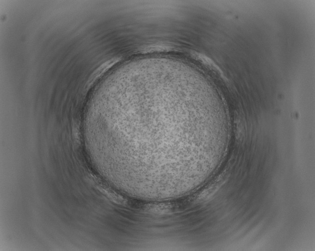 X0000074231217200609151638