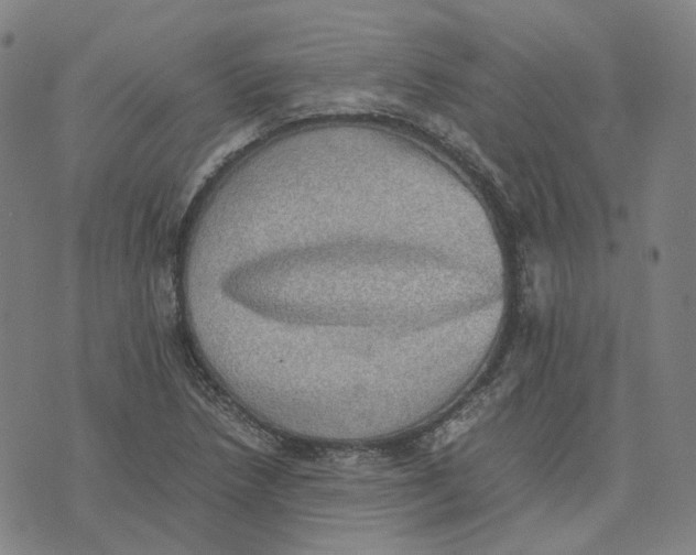 X0000074231218200609151638