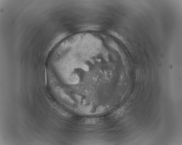 X0000074231219200609151638