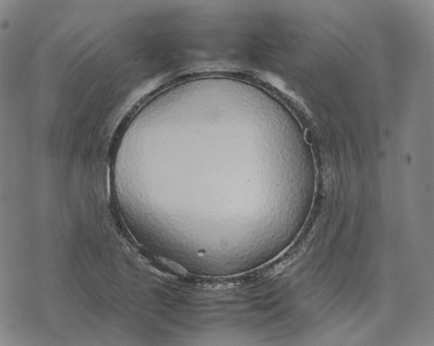 X0000074231221200609151638