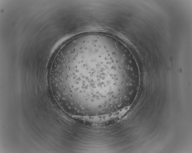 X0000074231222200609151638