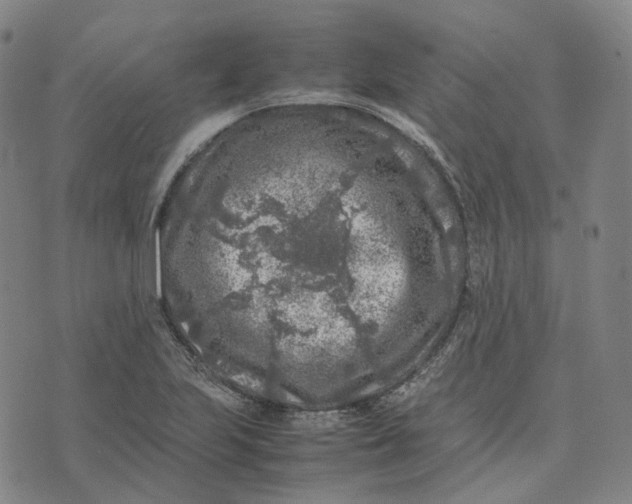 X0000074231223200609151638