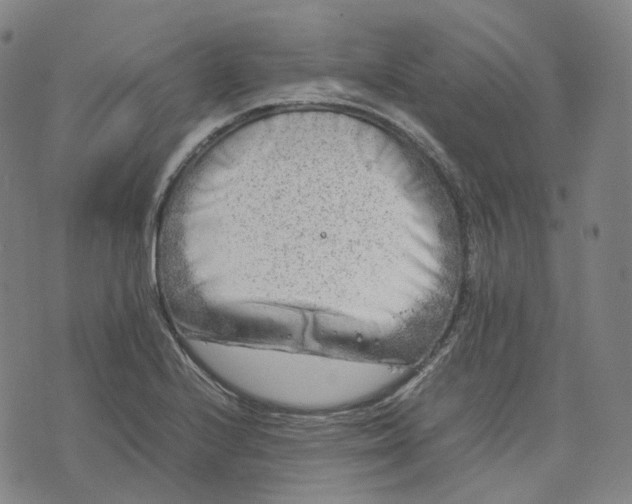 X0000074231224200609151638