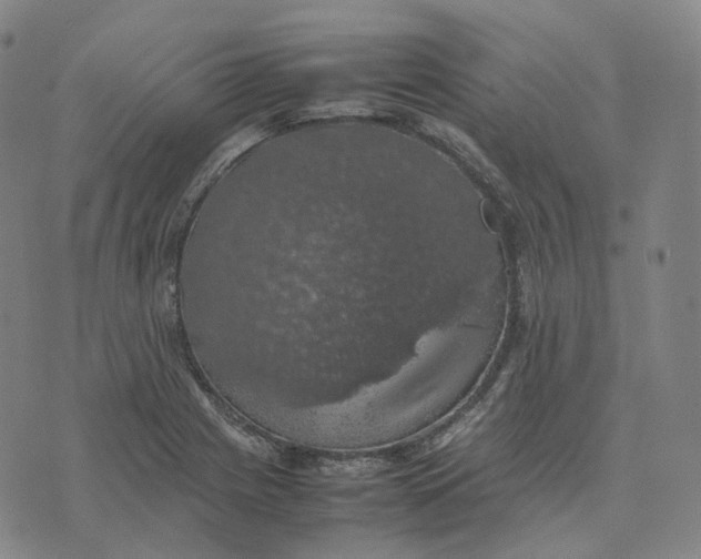 X0000074231225200609151638