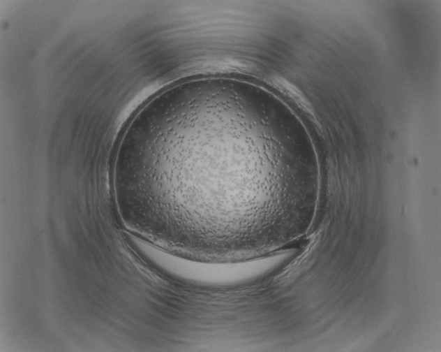 X0000074231226200609151638