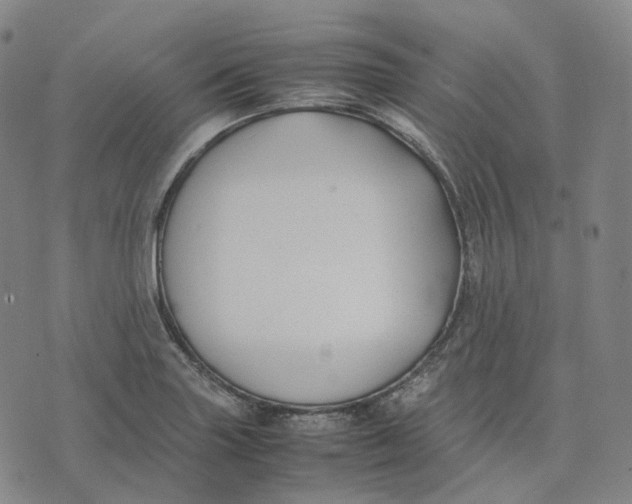 X0000074231227200609151638