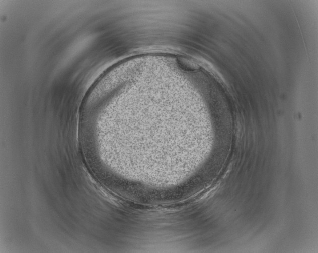 X0000074231228200609151638