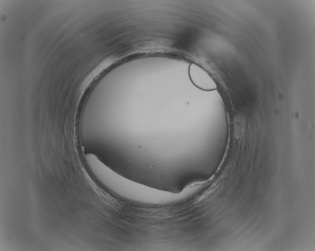 X0000074231229200609151638