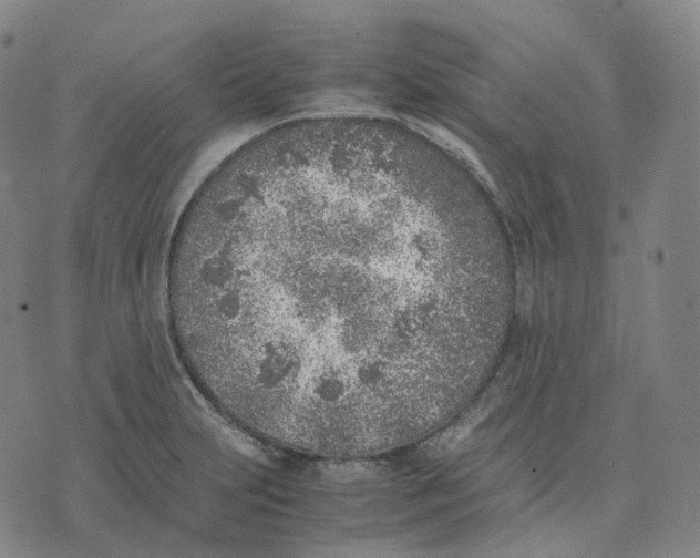 X0000074231231200609151638