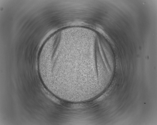 X0000074231232200609151638