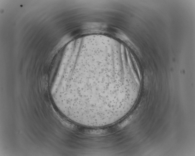 X0000074231233200609151638