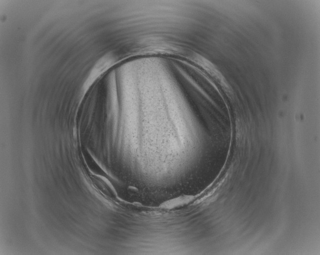 X0000074231234200609151638