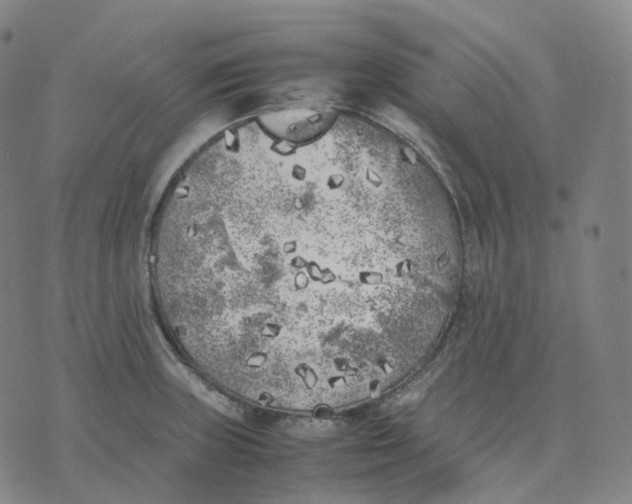 X0000074231235200609151638