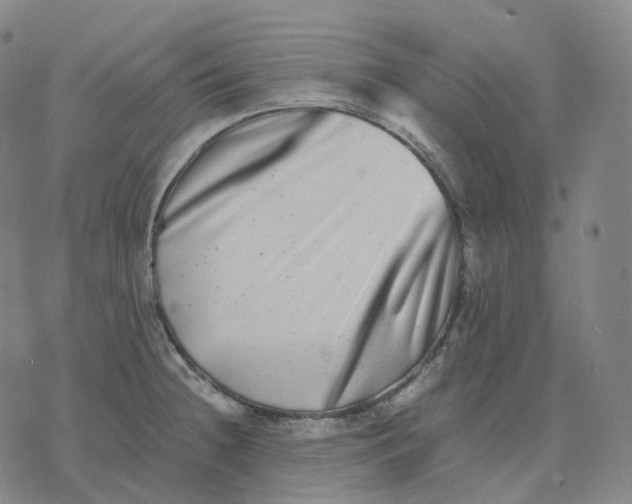 X0000074231236200609151638