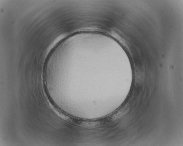 X0000074231237200609151638