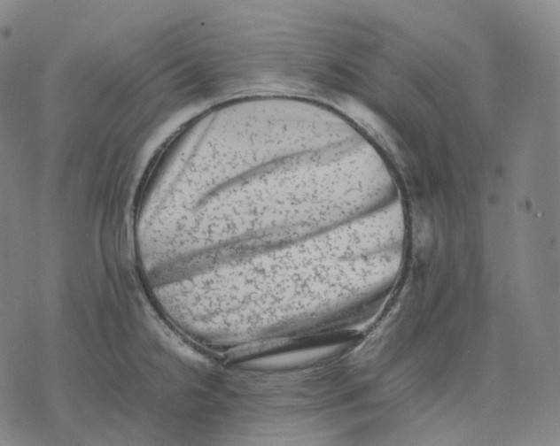 X0000074231238200609151638