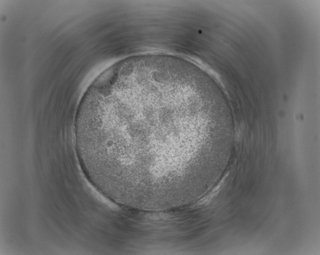 X0000074231239200609151638