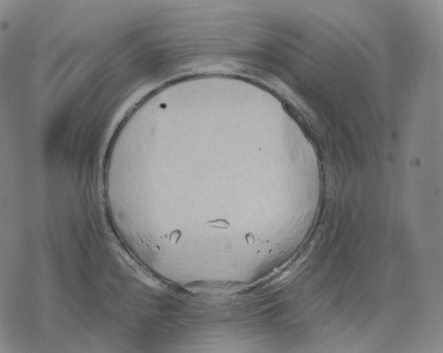 X0000074231240200609151638