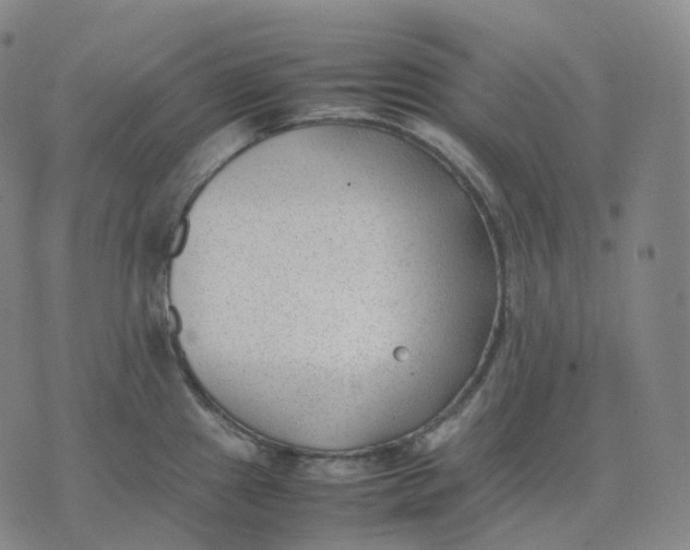 X0000074231241200609151638