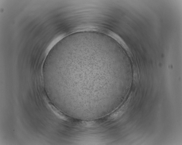 X0000074231242200609151638