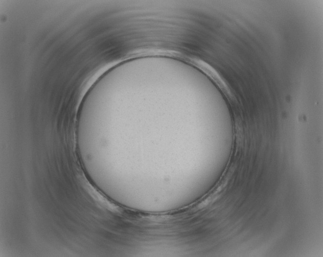 X0000074231244200609151638