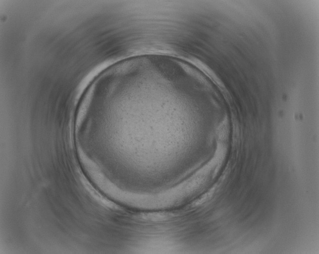 X0000074231246200609151638