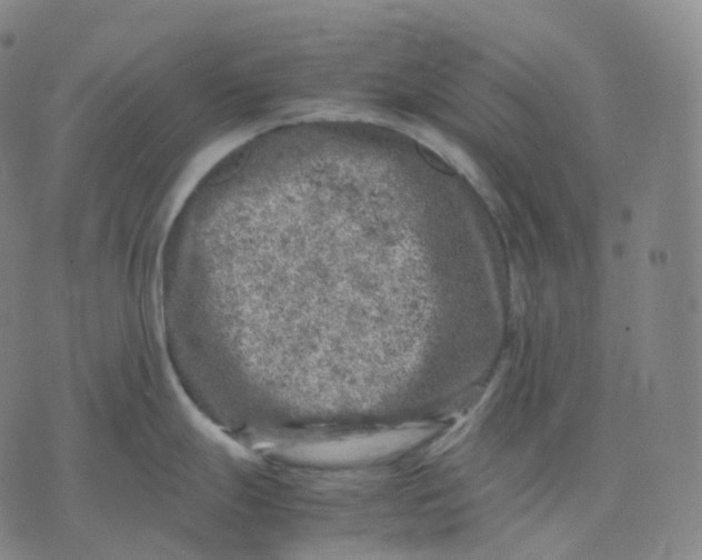 X0000074231247200609151638