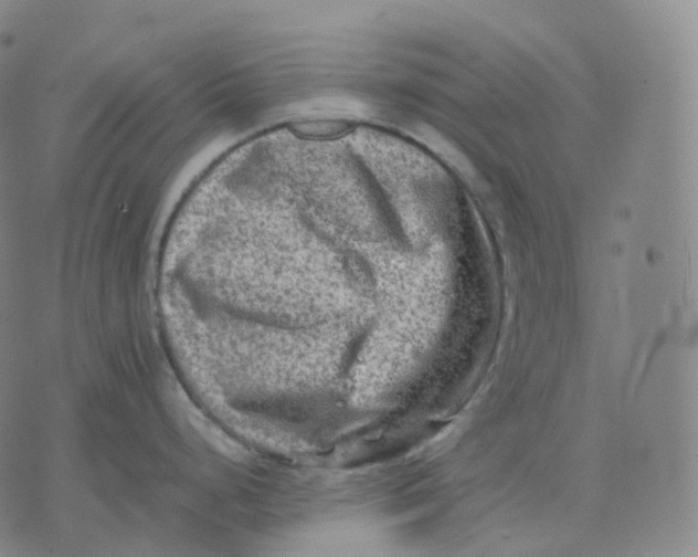 X0000074231248200609151638