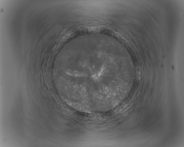 X0000074231249200609151637