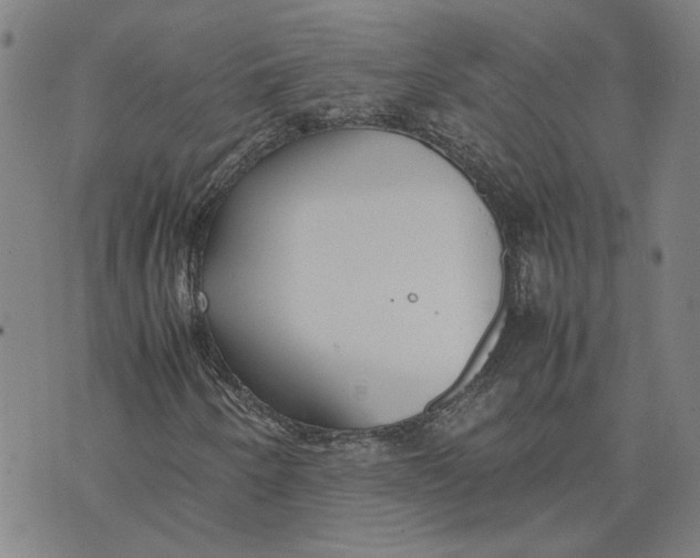 X0000074231250200609151637