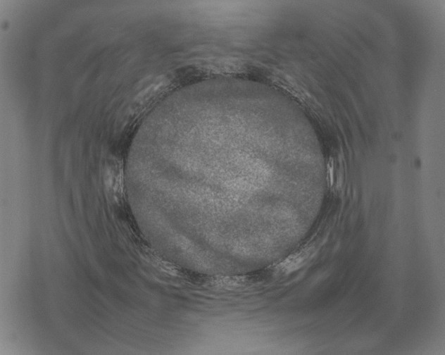 X0000074231251200609151637