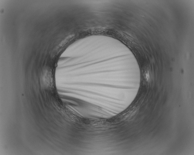 X0000074231252200609151637