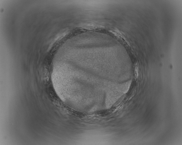 X0000074231253200609151637