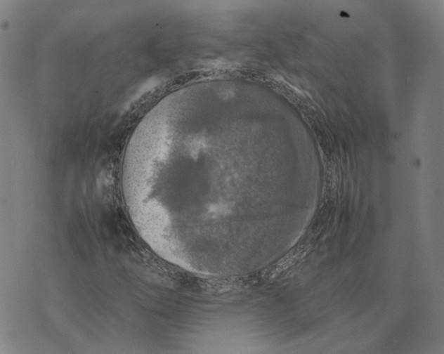 X0000074231254200609151637