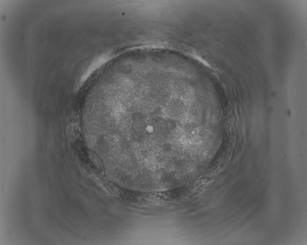 X0000074231255200609151637