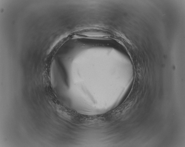 X0000074231256200609151637