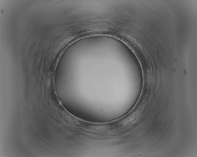 X0000074231257200609151637